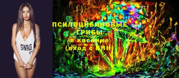 гашик Балабаново