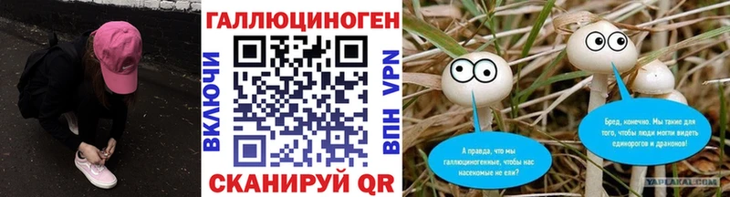 Галлюциногенные грибы Psilocybine cubensis Бирск